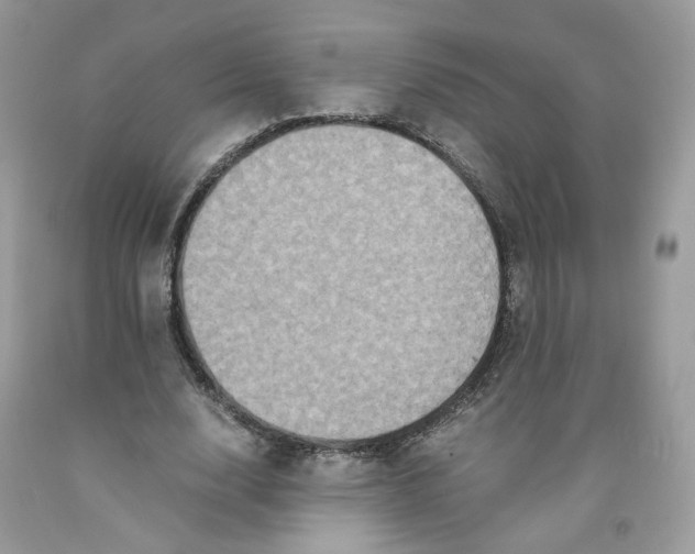 X0000091550632200709141516