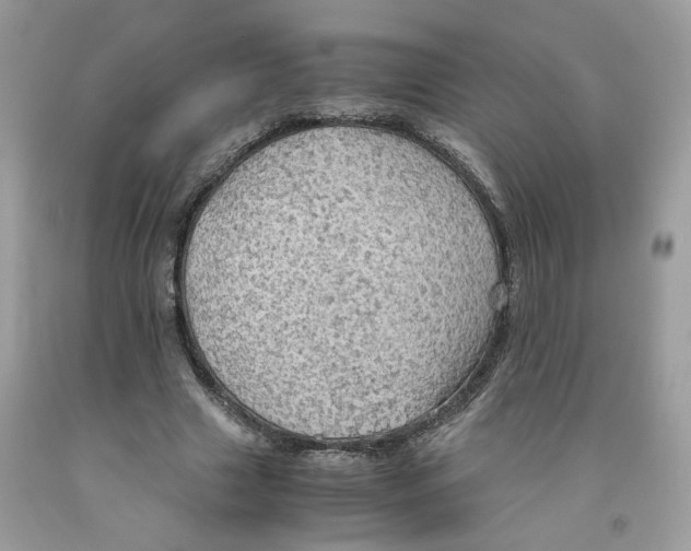 X0000091550633200709141516