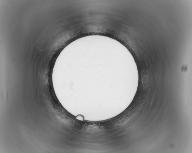 X0000091550635200709141516