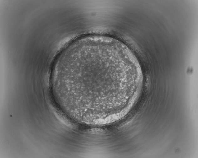 X0000091550636200709141516