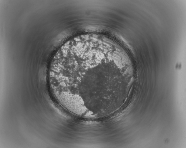 X0000091550637200709141516