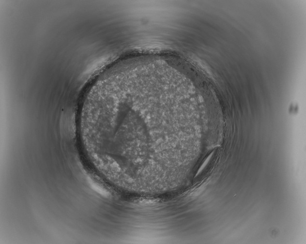 X0000091550638200709141516