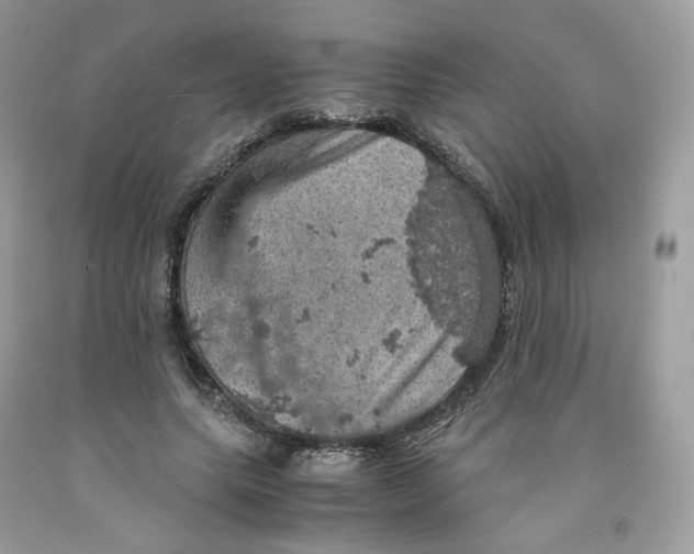 X0000091550639200709141516