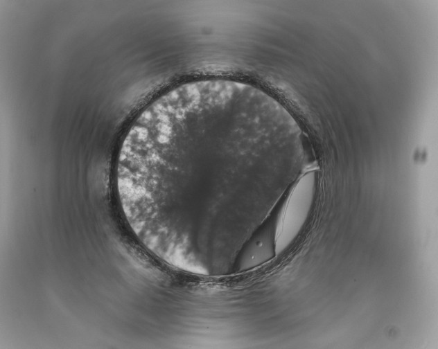 X0000091550640200709141516