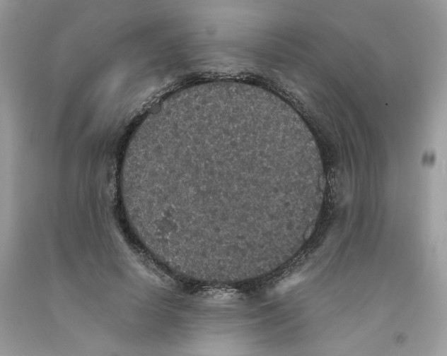 X0000091550642200709141516