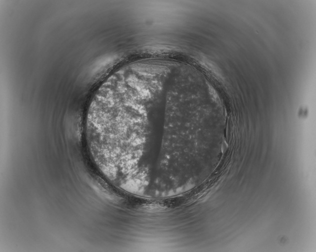 X0000091550644200709141516