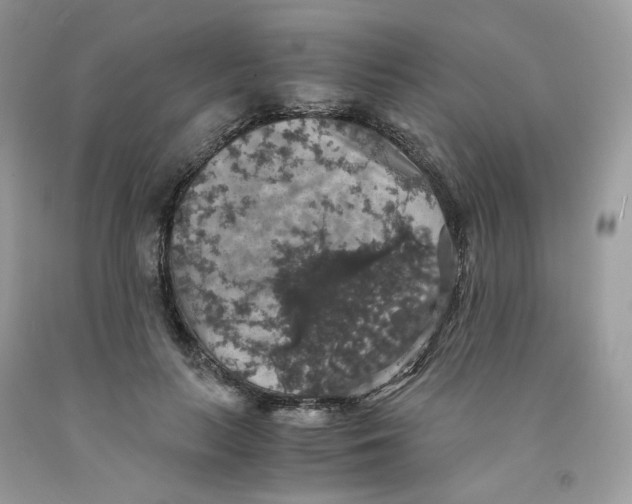 X0000091550647200709141516