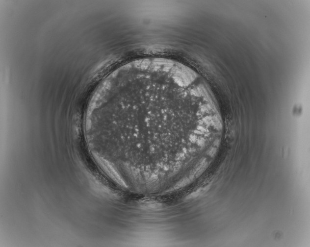 X0000091550648200709141516