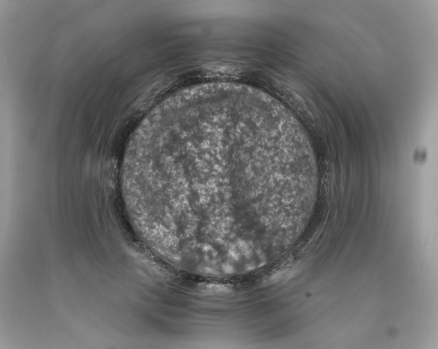 X0000091550649200709141516