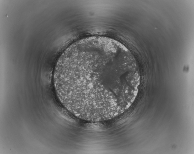 X0000091550652200709141516