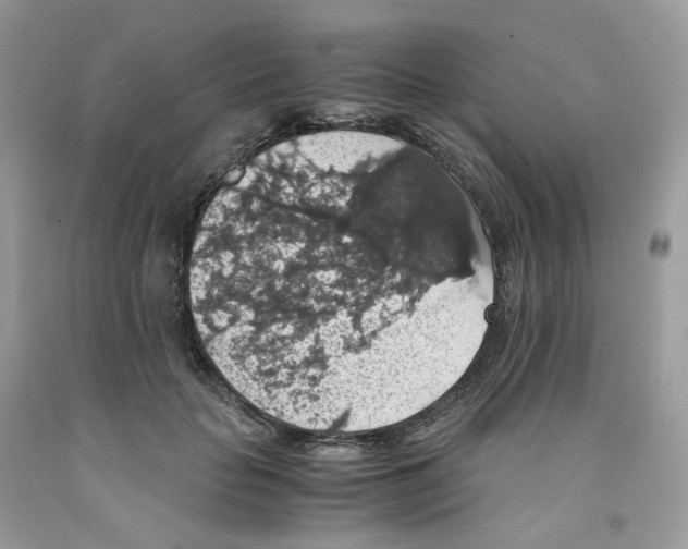 X0000091550653200709141516