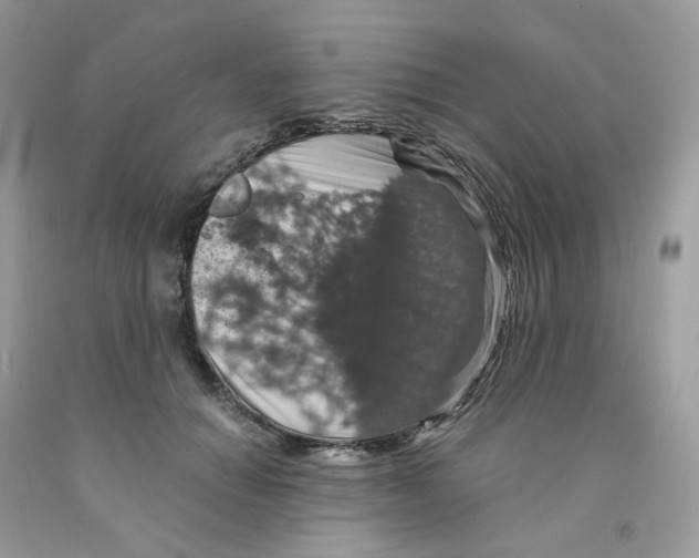 X0000091550654200709141516