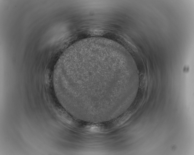 X0000091550655200709141516