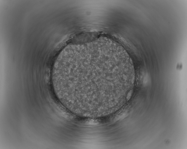 X0000091550656200709141516