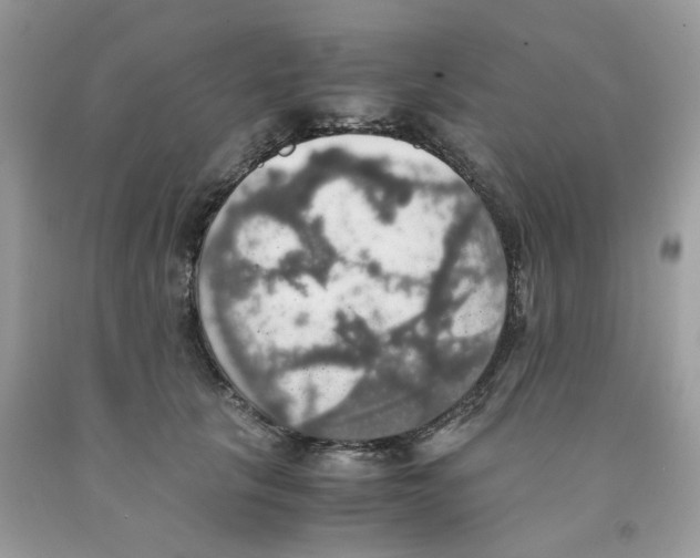 X0000091550657200709141516