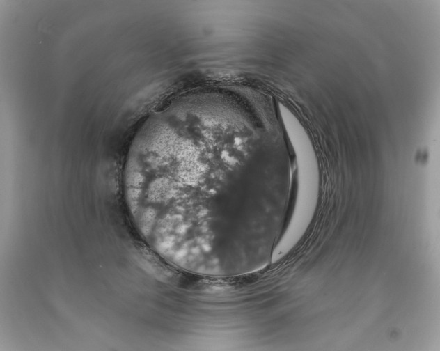 X0000091550658200709141516