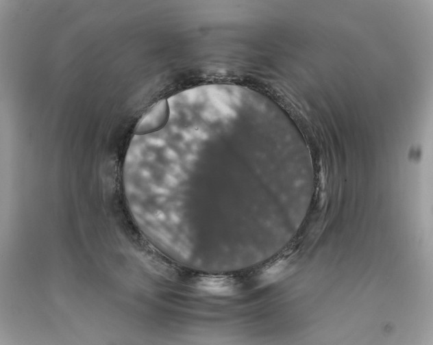 X0000091550659200709141516