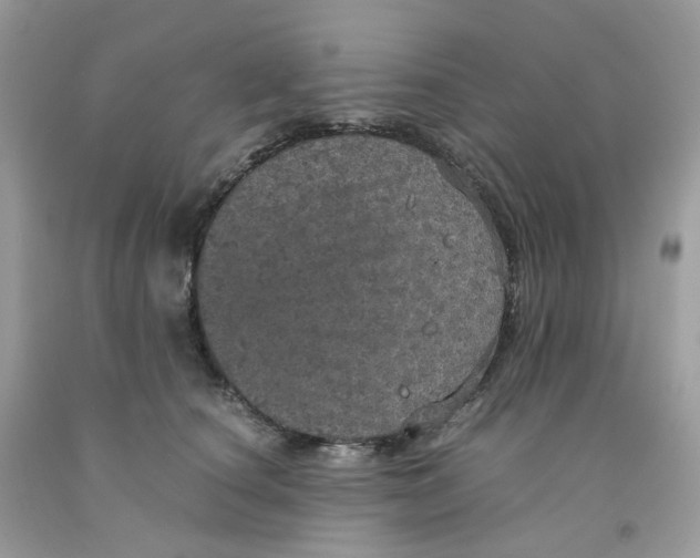 X0000091550660200709141516