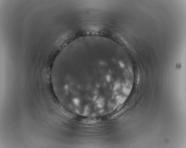 X0000091550661200709141517