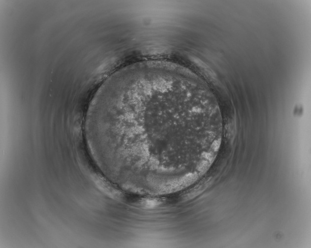 X0000091550662200709141517