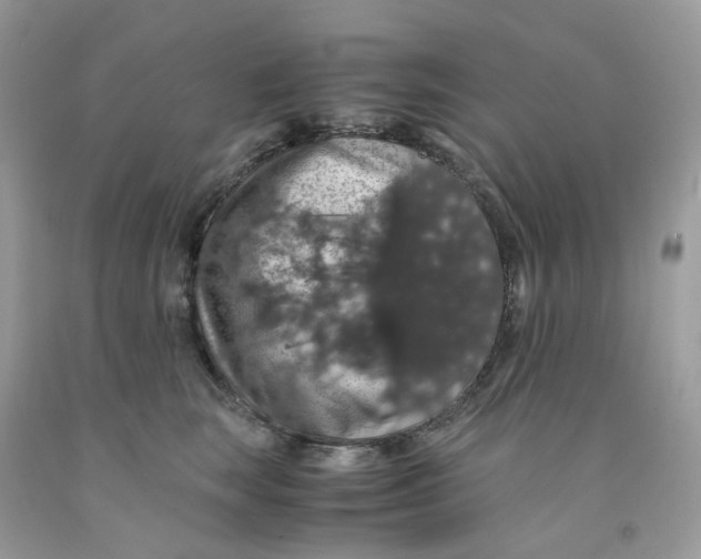 X0000091550663200709141517