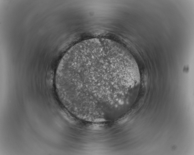 X0000091550664200709141517