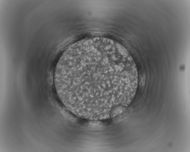 X0000091550666200709141517