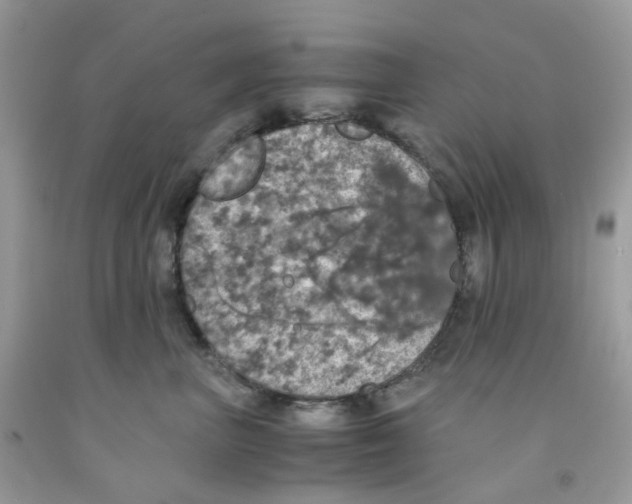 X0000091550667200709141517