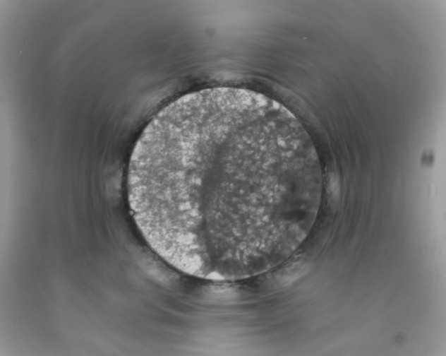 X0000091550668200709141517