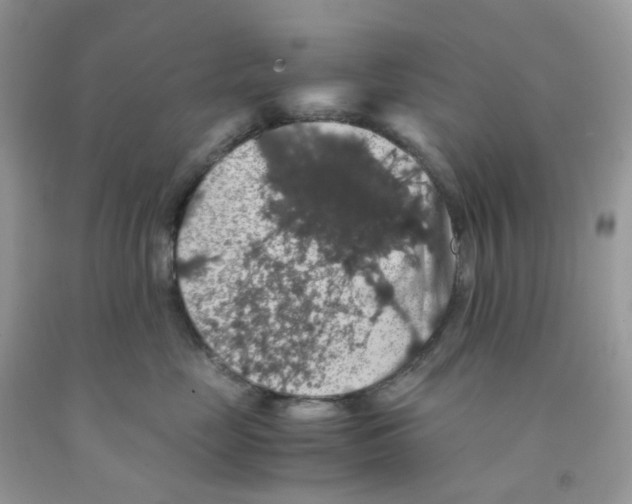 X0000091550669200709141517