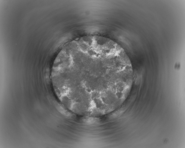 X0000091550670200709141517