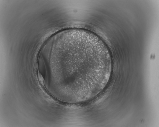 X0000091550673200709141516