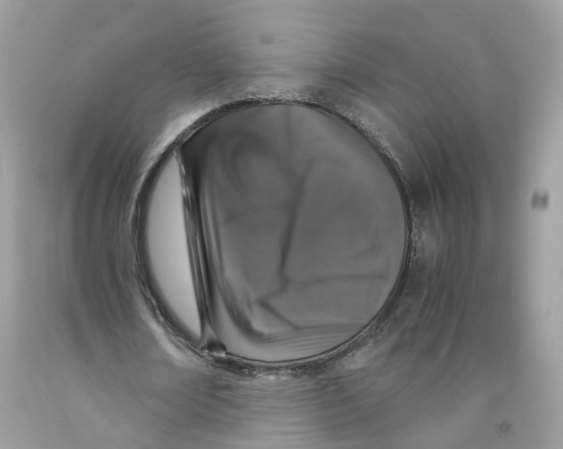 X0000091550674200709141516