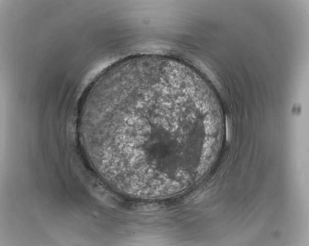 X0000091550675200709141516