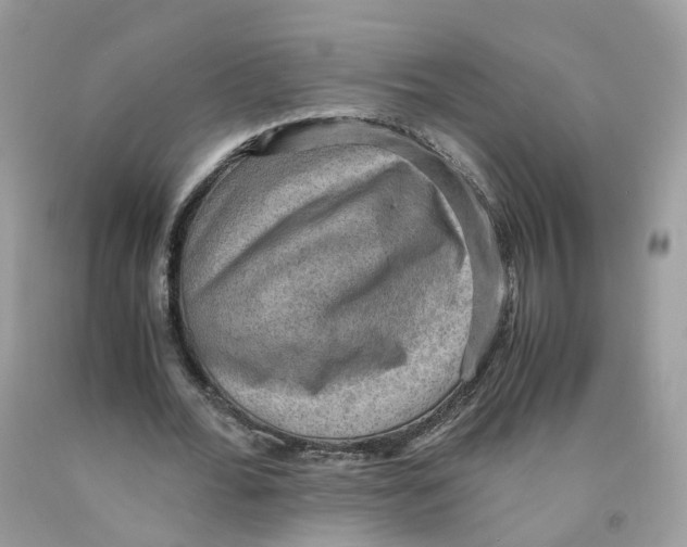 X0000091550676200709141516