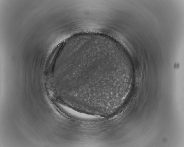 X0000091550677200709141516