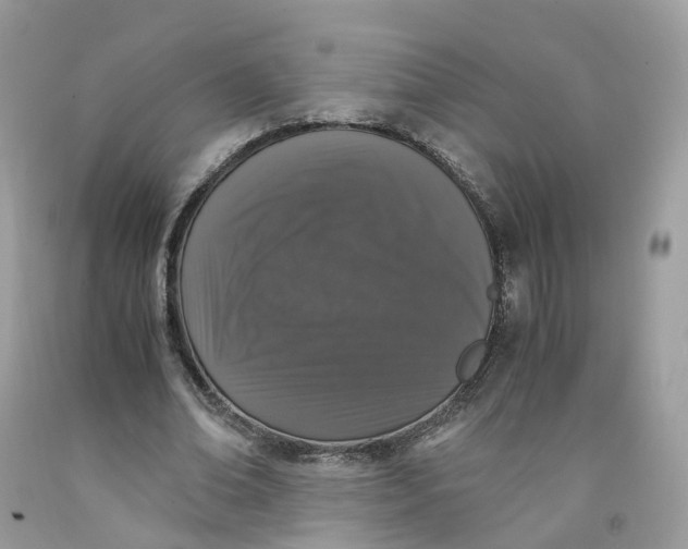 X0000091550678200709141516