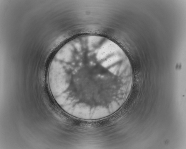 X0000091550679200709141516