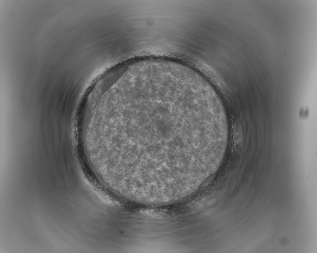 X0000091550680200709141516