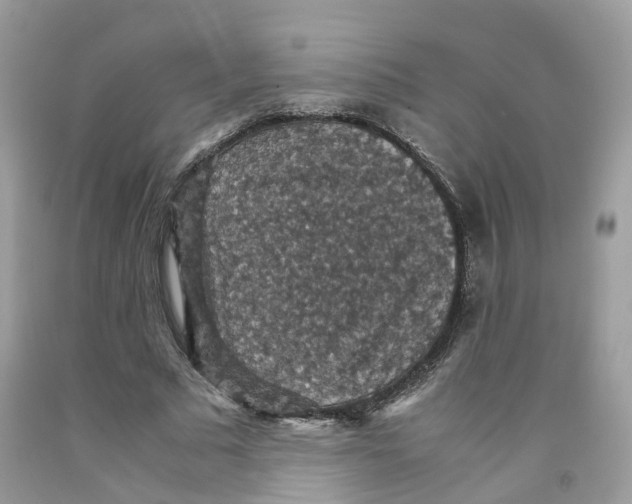 X0000091550681200709141516