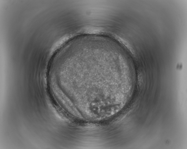 X0000091550682200709141516