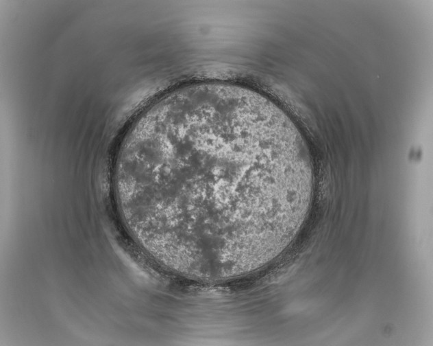 X0000091550683200709141516