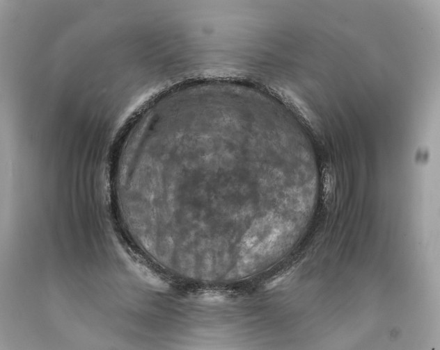 X0000091550684200709141516