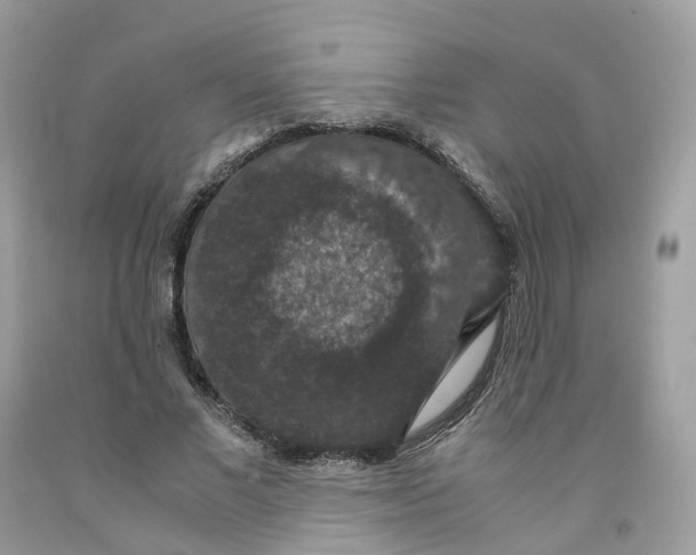 X0000091550685200709141516