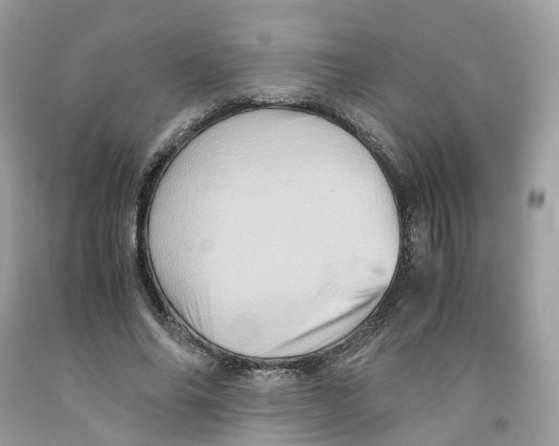 X0000091550686200709141516