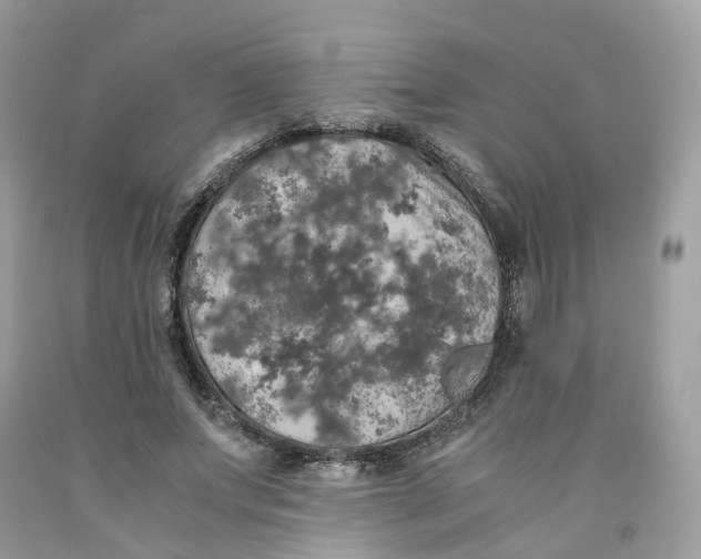 X0000091550687200709141516