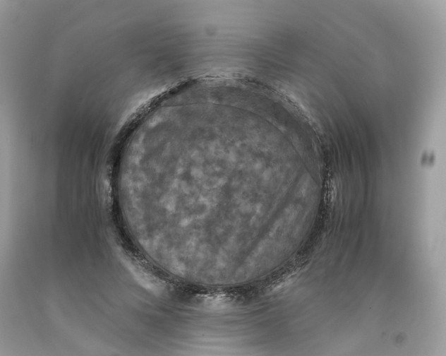 X0000091550688200709141516