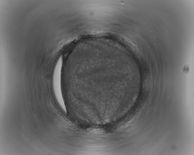 X0000091550689200709141516