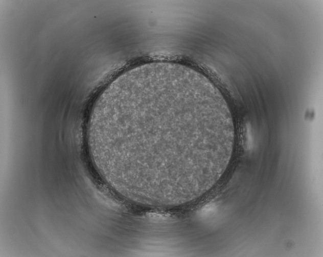 X0000091550690200709141516