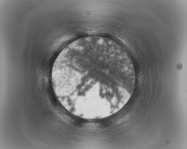 X0000091550691200709141516